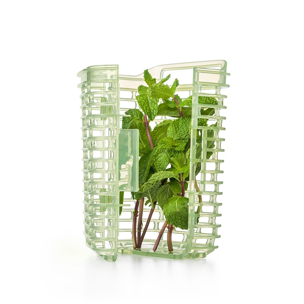 OXO Good Grips GreenSaver Herb Keeper Small Kitchenware Australia