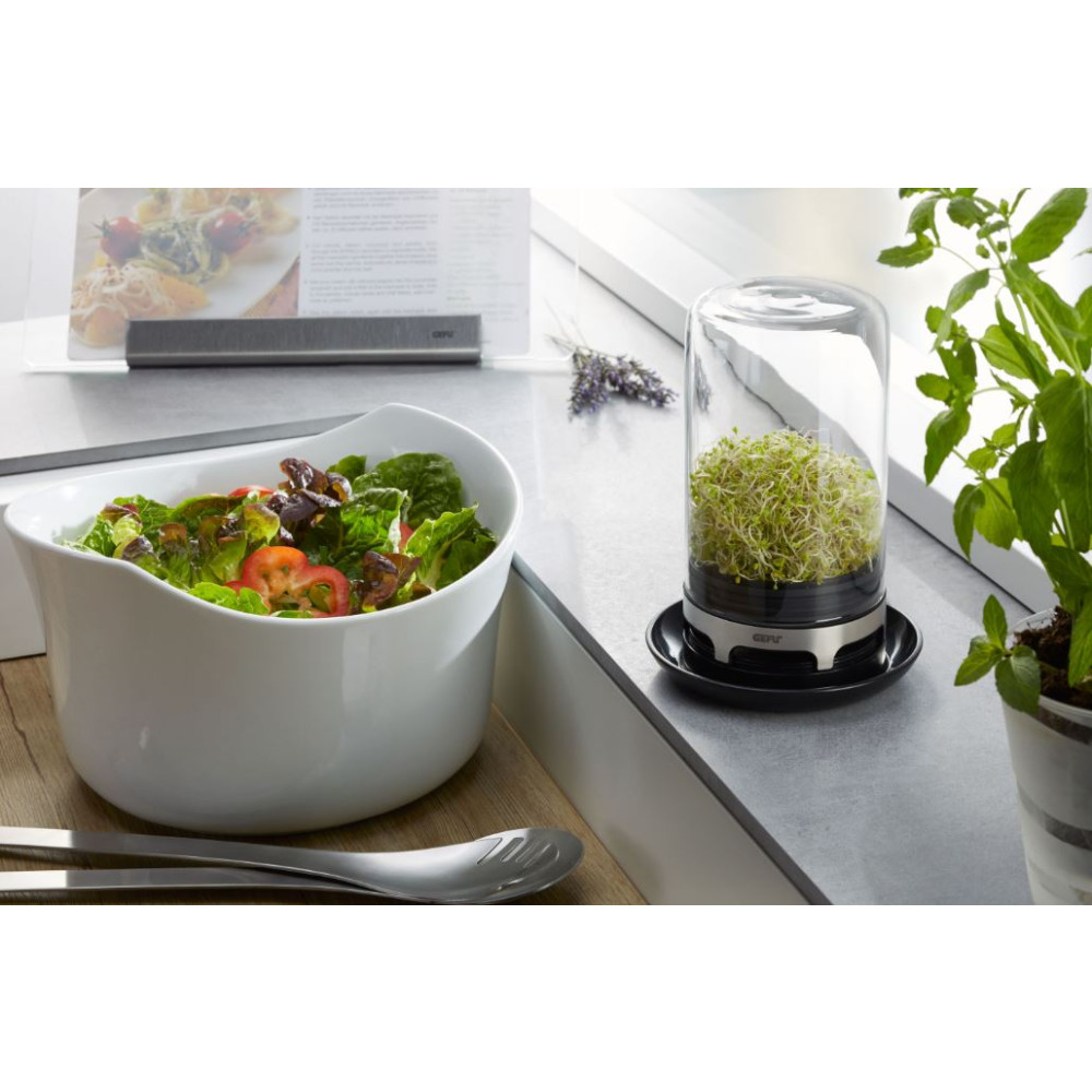 Gefu Bivita Sprouting Jar Kitchenware Australia