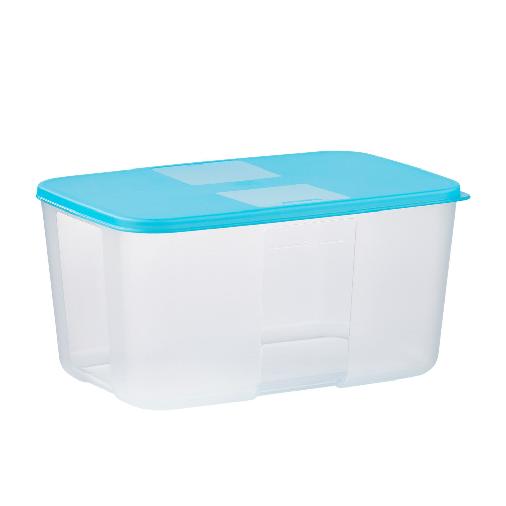 Tupperware Store & See Rectangular Fridge and Freezer Container 2.6L ...