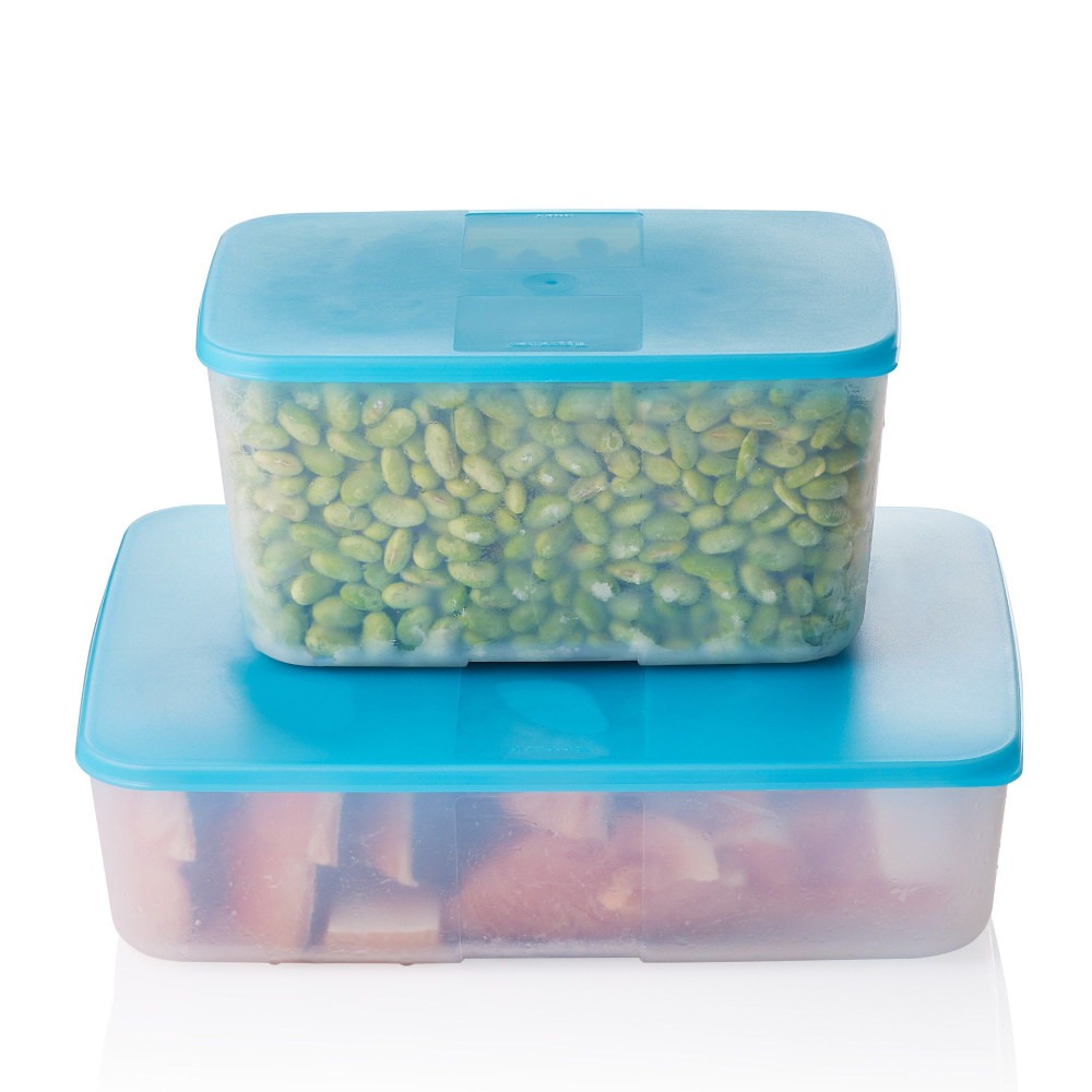 Tupperware Store & See Rectangular Fridge and Freezer Container 2.6L