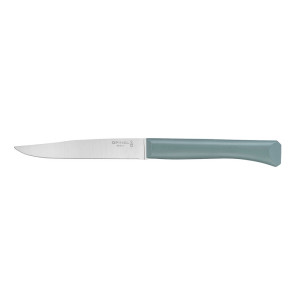 Opinel Bon Appetit+ Table Knife 11cm Sage