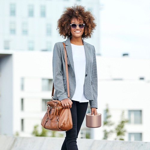 Bentgo Stainless Steel Insulated Food Container Rose Gold Kitchenware